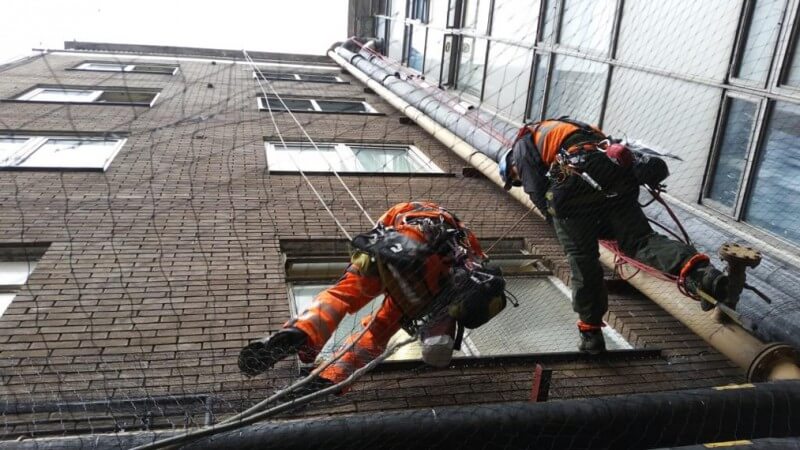 bird net repair by abseiling